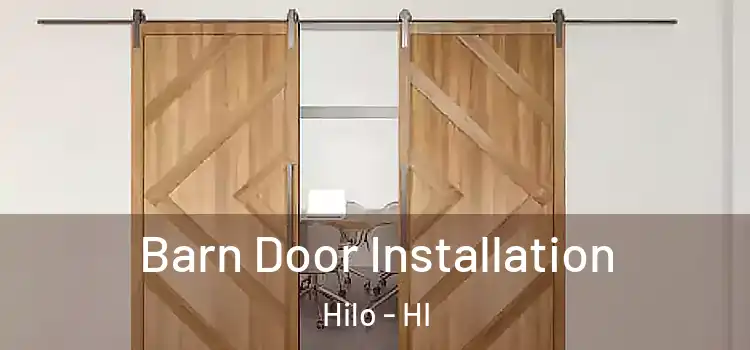 Barn Door Installation Hilo - HI
