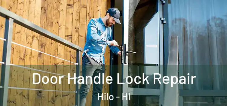 Door Handle Lock Repair Hilo - HI