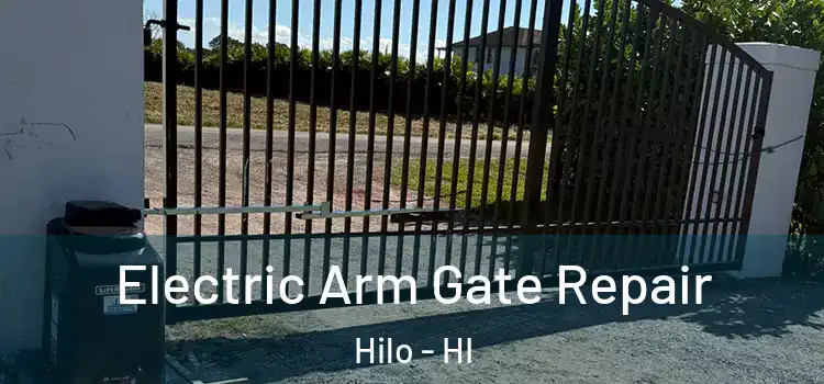 Electric Arm Gate Repair Hilo - HI