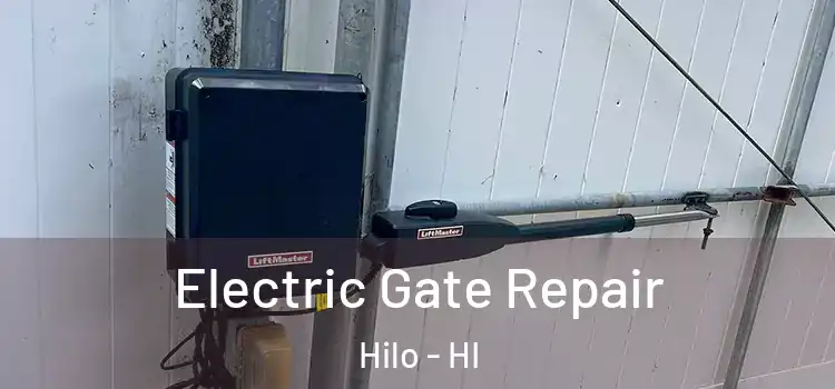 Electric Gate Repair Hilo - HI