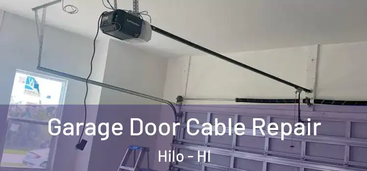  Garage Door Cable Repair Hilo - HI