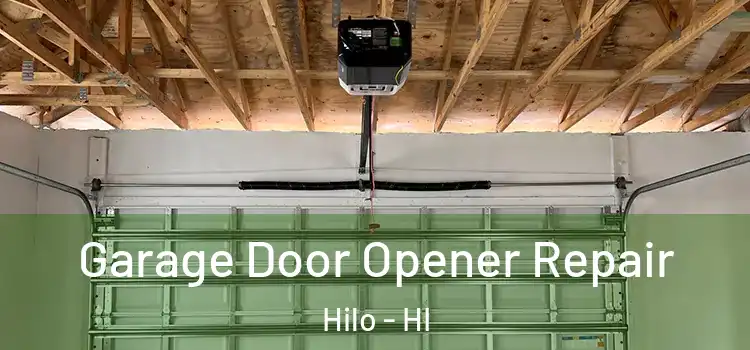  Garage Door Opener Repair Hilo - HI