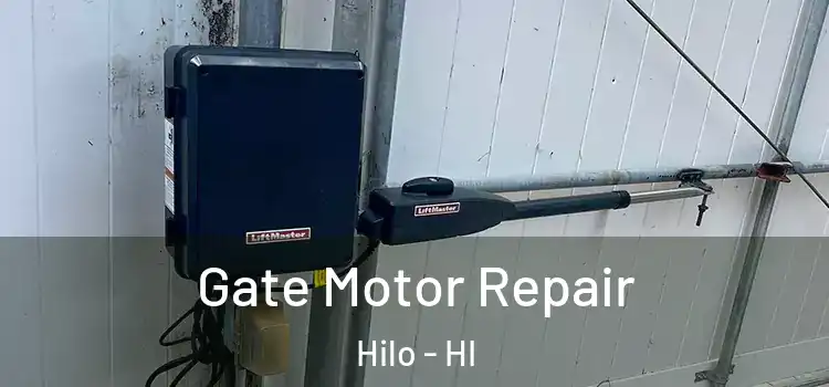 Gate Motor Repair Hilo - HI