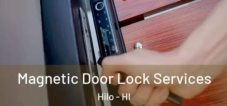Magnetic Door Lock Services Hilo - HI